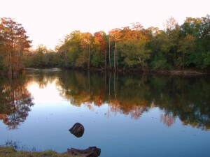 River's Edge RV Campground - Fishing