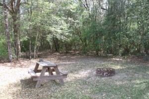 River's Edge RV Campground - Holt, FL