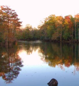River's Edge RV Campground - RV Camping in Holt