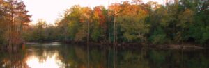 River's Edge RV Campground - RV Camping in Holt, FL